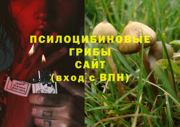 кристаллы Богданович