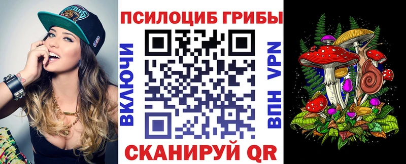 где купить наркоту  Костомукша  Псилоцибиновые грибы мицелий 